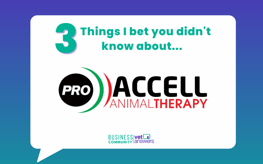 3 Things I bet you didn’t know about…Accell Animal Therapy